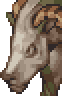 Bonnacon