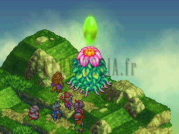 Seed : une graine verte jaillit au-dessus d'une Rafflesia, prête à donner un Morbol (capture d'un autre combat)