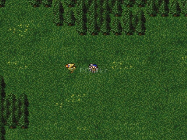 La Forêt des Chocobos